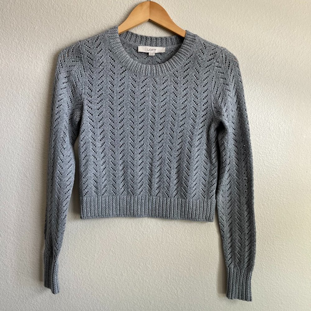 NWT LOFT Crochet Sweater